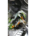 美食菜系做法9009