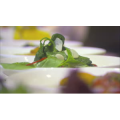 正餐259