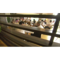 正餐260