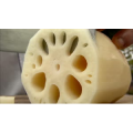正餐262