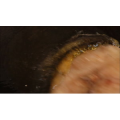 正餐283