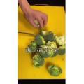 美食菜系做法9604