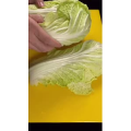 美食菜系做法9636