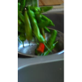 美食菜系做法10000