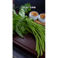 美食菜系做法10009