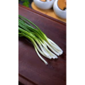 美食菜系做法10187