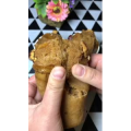 美食菜系做法10356