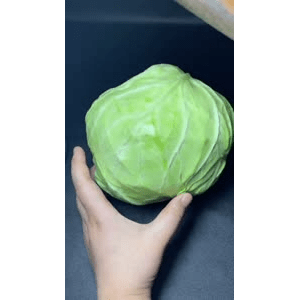 美食菜系做法10402