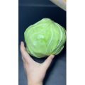 美食菜系做法10402