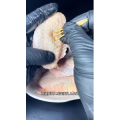 美食菜系做法10544