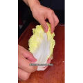 美食菜系做法10591