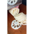 美食菜系做法10599