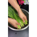 美食菜系做法10705