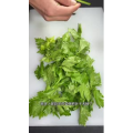 美食菜系做法10736
