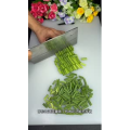 美食菜系做法10737