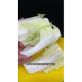 美食菜系做法10781