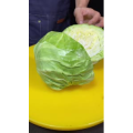 美食菜系做法10813