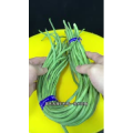 美食菜系做法10828