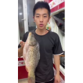 美食菜系做法10832
