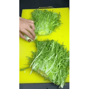 美食菜系做法10836