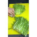 美食菜系做法10836