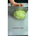 美食菜系做法10853