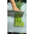 美食菜系做法10864