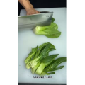 美食菜系做法10909