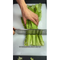 美食菜系做法10914