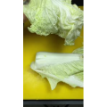 美食菜系做法11240