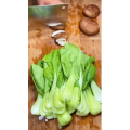 美食菜系做法11256