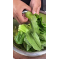 美食菜系做法11262