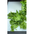 美食菜系做法11292