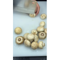 美食菜系做法11297