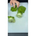 美食菜系做法11305