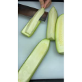 美食菜系做法11306