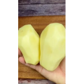 美食菜系做法11307