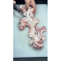 美食菜系做法11341