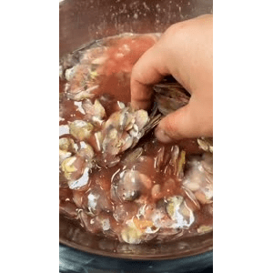 美食菜系做法11395