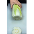 美食菜系做法11418