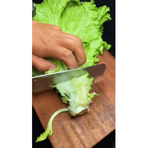 美食菜系做法11423