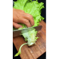 美食菜系做法11423