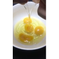 美食菜系做法11515