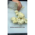 美食菜系做法11581