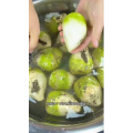 美食菜系做法11693