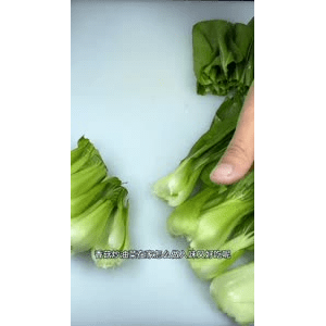 美食菜系做法11697