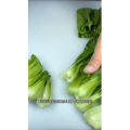 美食菜系做法11697