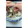 美食菜系做法11815