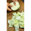 美食菜系做法11849