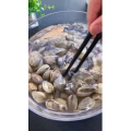 美食菜系做法11961
